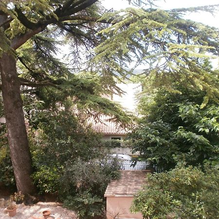 Hotel Le Victoria Draguignan Rom bilde