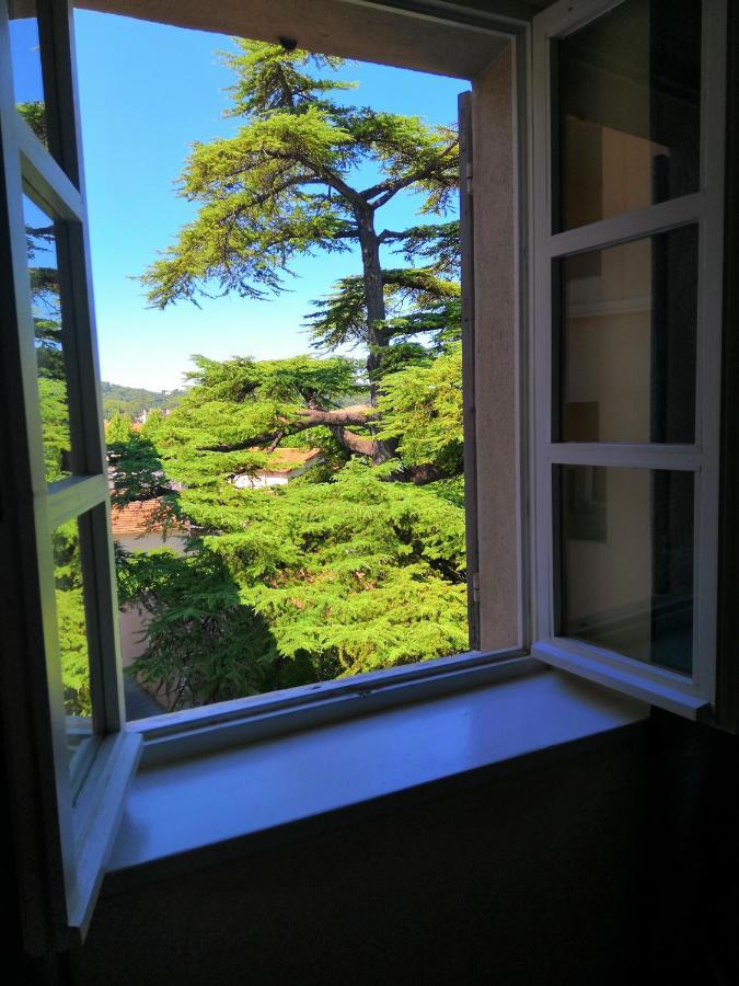 Hotel Le Victoria Draguignan Eksteriør bilde